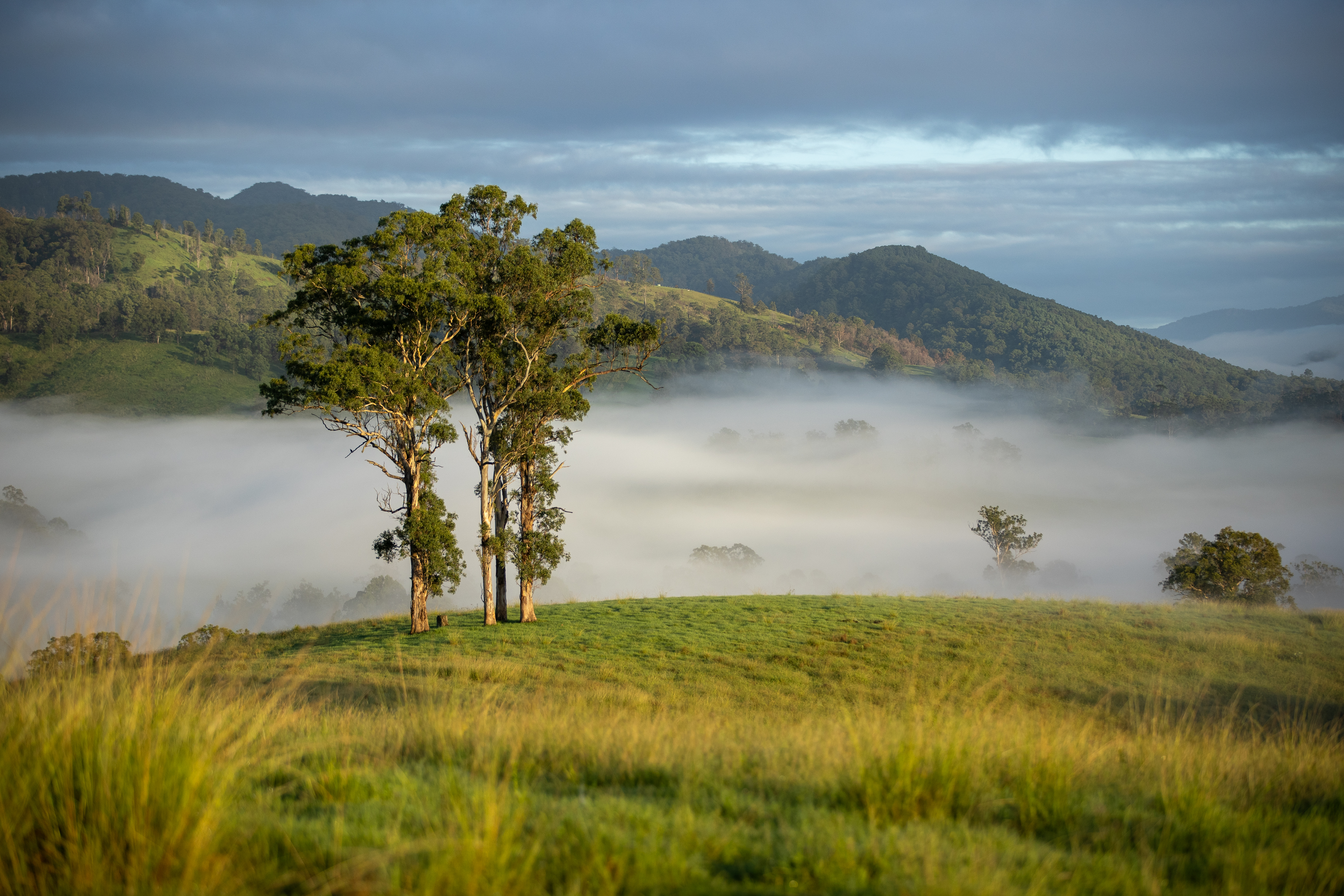 1148 THUNDERBOLTS WAY, BOWMAN NSW 2422, 0 rūma, 0 rūma horoi, Lifestyle Property