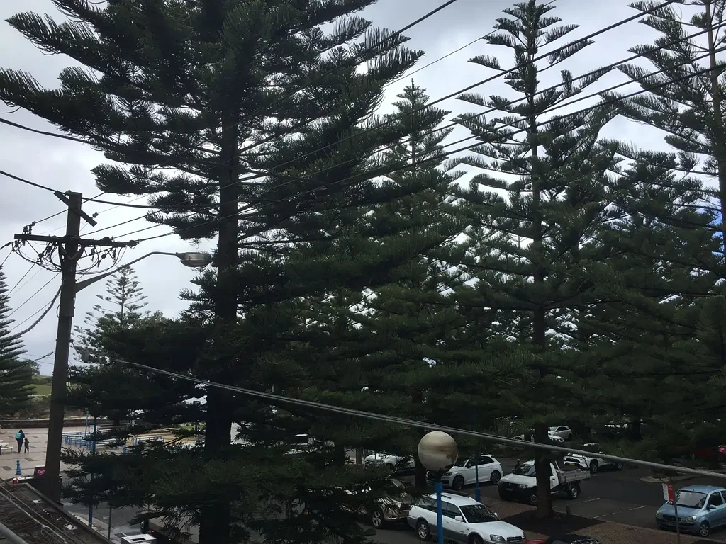 A Better Lifestyle Move to Coogee Beach Now, Inspect Your New Potential Home