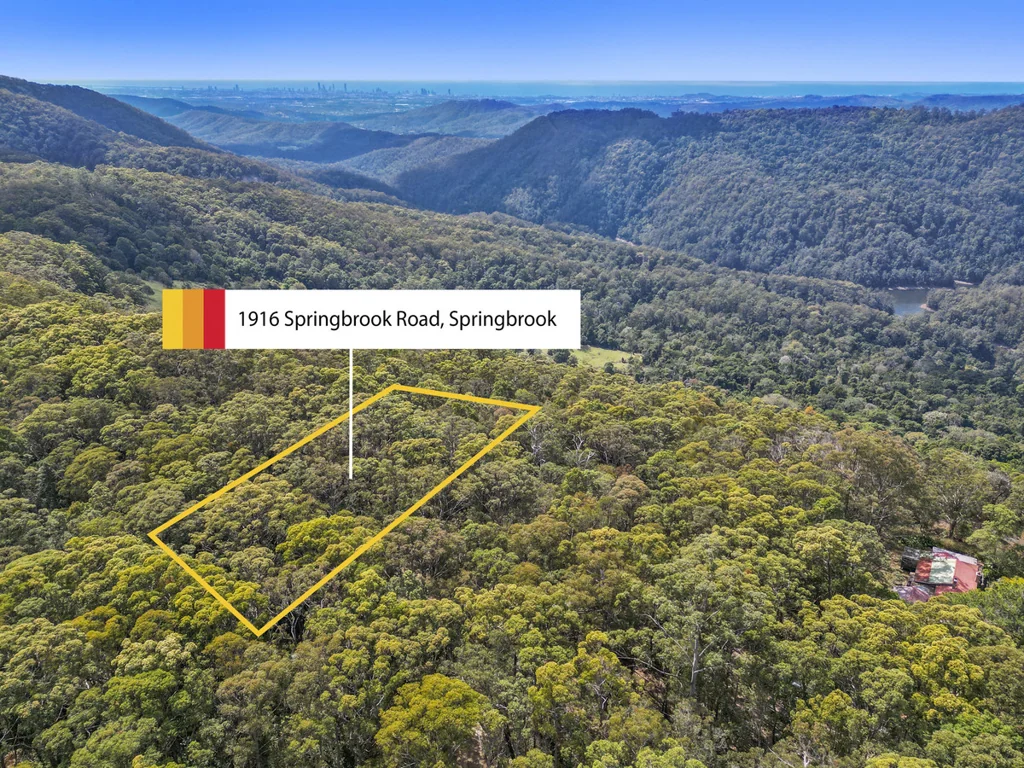 1916 Springbrook Road, Springbrook, QLD 4213