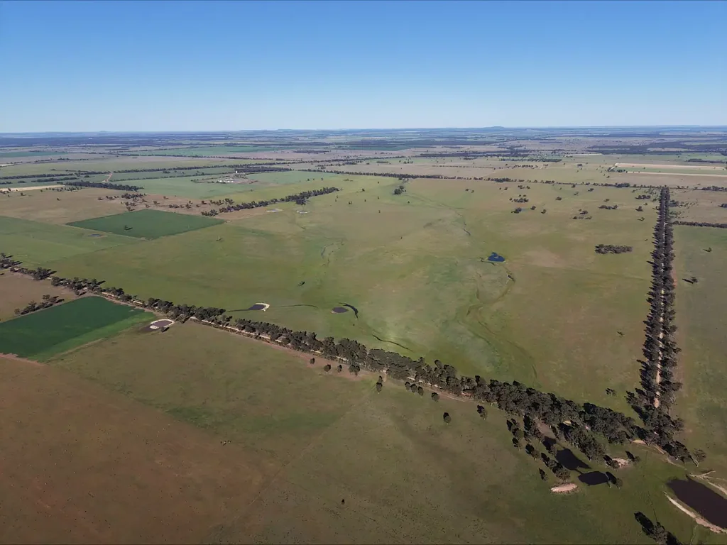 West Wyalong STRATHMERTON