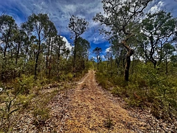 Lot 157 Knights Road, Laguna