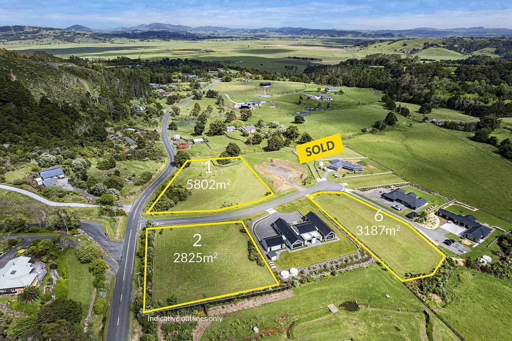 Kauri  Blocks with the 'X' factor
