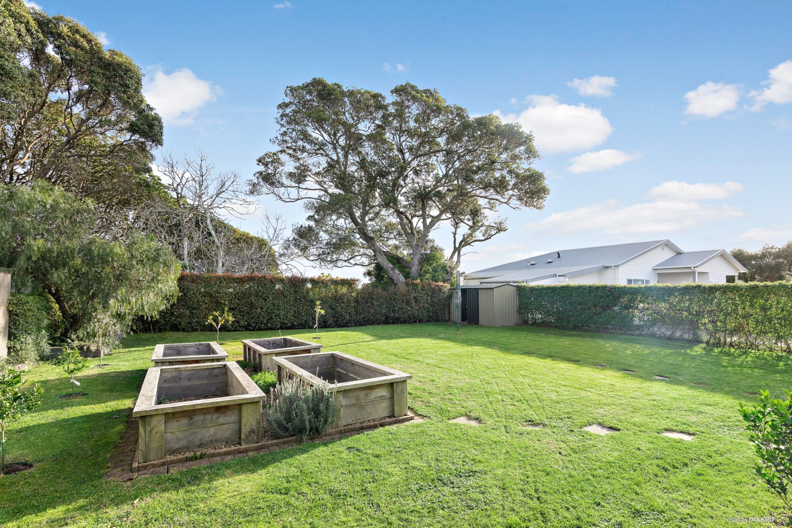 62 Mariri Road, One Tree Hill, Auckland, 4 Bedrooms, 2 Bathrooms