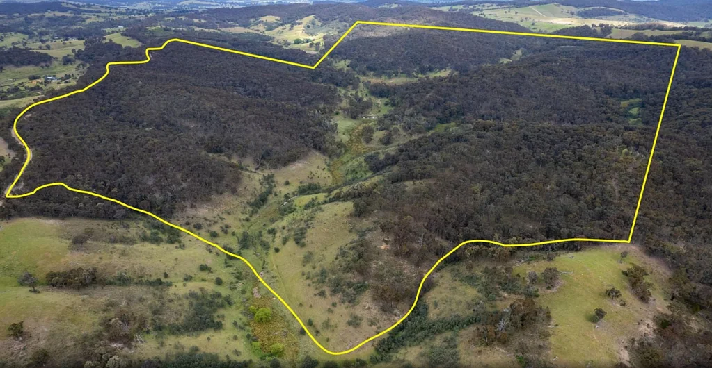 17 Kangaloolah Road, Binda, NSW 2583