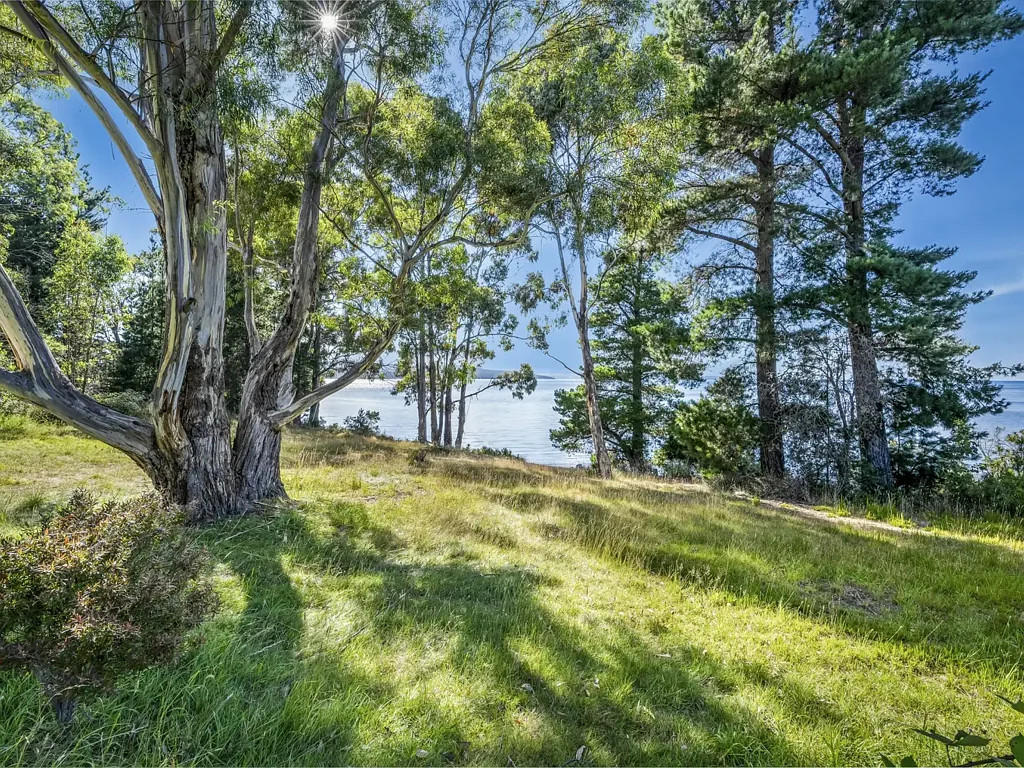Woodbridge Dream waterfront opportunity
