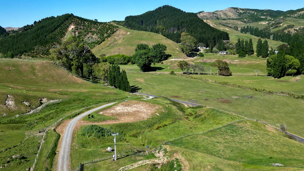 Puketapu For Sale - Vendors Want This Sold