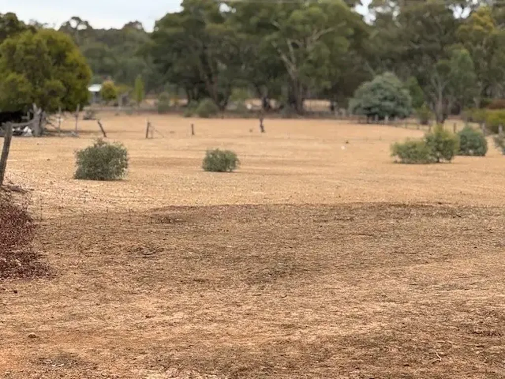 Wedderburn 4 ACRES OF PERFECTION! READY TO BUILD ON. COUNTRY LIVING AT ITS BEST!