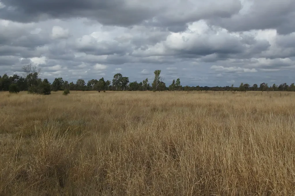 Tara Untouched piece of land