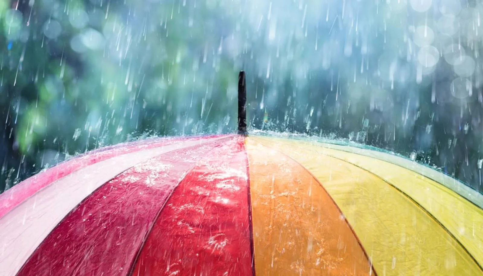 妖风、暴雨、龙卷风预警来袭！奥克兰在内，全国多地将迎恶劣天气！