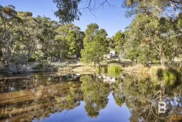 49 Skirkas Road, Buninyong