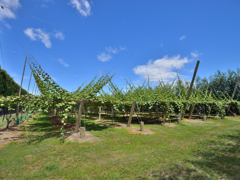 343 Bushmere Road, Hexton, Gisborne, 0 rūma, 0 rūma horoi