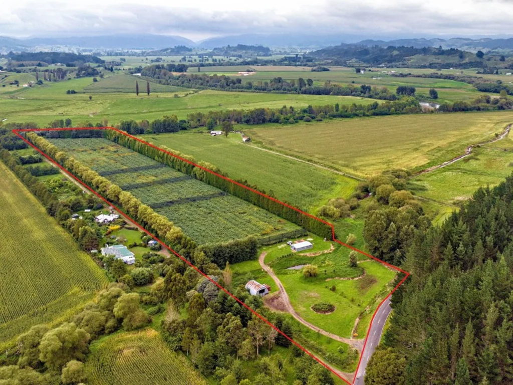 Whakatane Comes with Gold licence