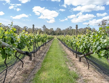 104 Greens Beach Road, Beaconsfield, TAS 7270, 0 slaapkamers, 0 badkamers, Lifestyle Property