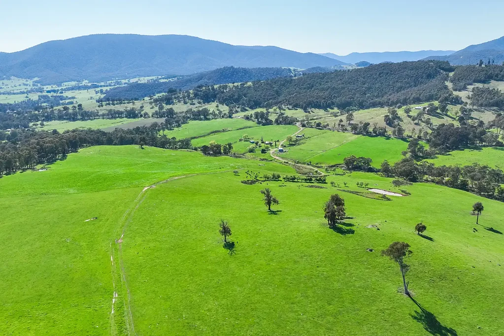 Bruarong  Quality Grazing, Exceptional Location  
317.4*acres/ 128*Ha.