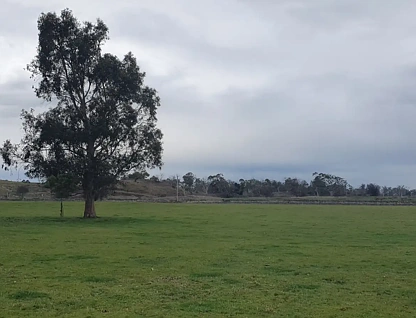 546 Koallah Pomborneit Road, Koallah, Warrnambool and South West, 3 chambres, 1 salles de bain, Lifestyle Property