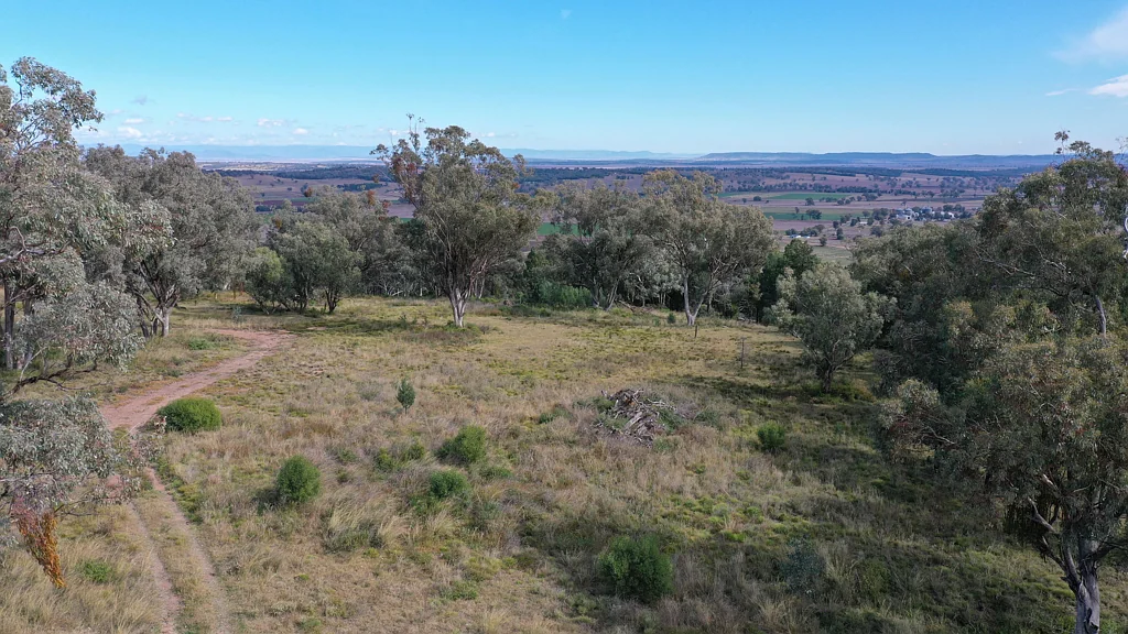 73 Ray Carter Drive, Quirindi, NSW 2343