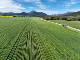 118 Gratti Valley Road, Narrabri