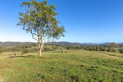 2898 The Bucketts Way, Stroud, NSW 2425, 0 Schlafzimmer, 0 Badezimmer, Lifestyle Property