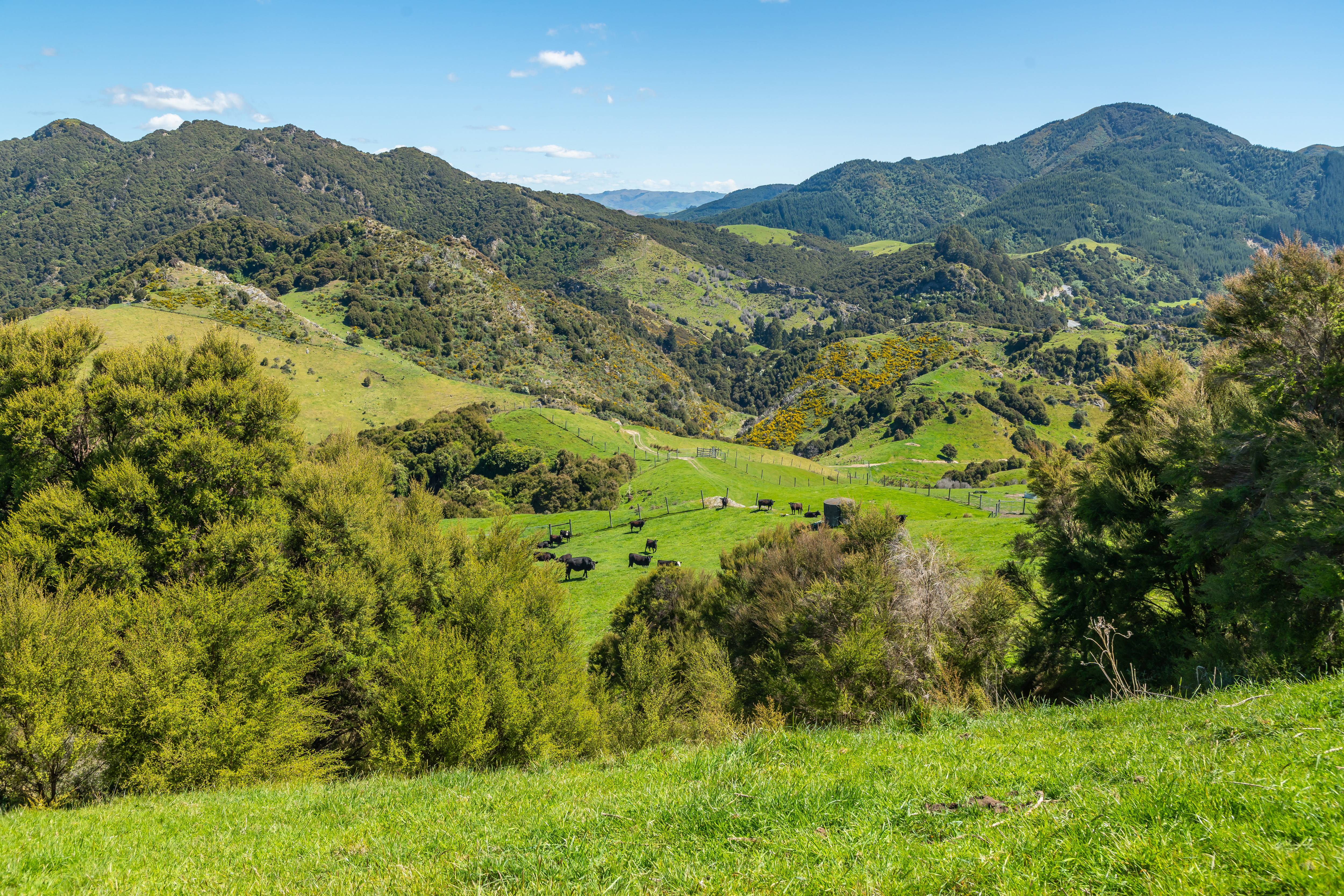 600 Hundalee Road, Hundalee, Hurunui, 0 Bedrooms, 0 Bathrooms, Specialist Livestock