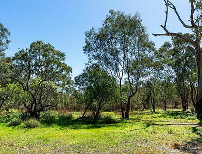 CA 1, 2, 3 Plonks Gully Track, Redcastle, Wangaratta, 0房, 0浴, Lifestyle Property