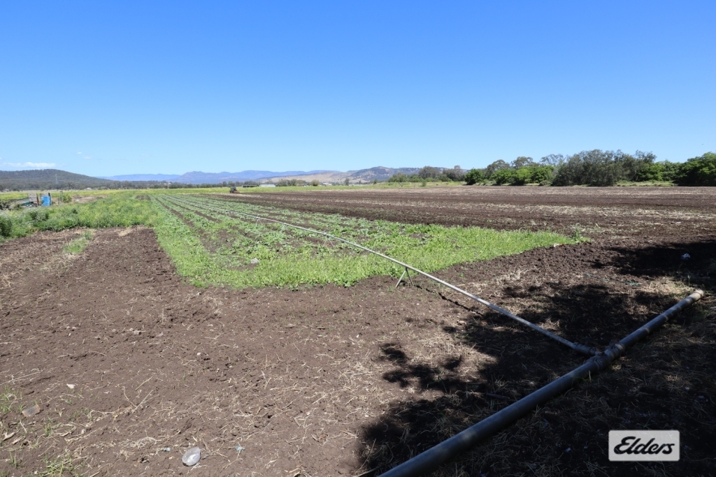 RURAL AGRICULTURAL LAND