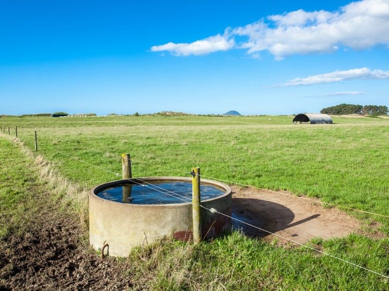 103 Thornton Beach Road, Thornton, Whakatane, 3 habitaciones, 0 baños