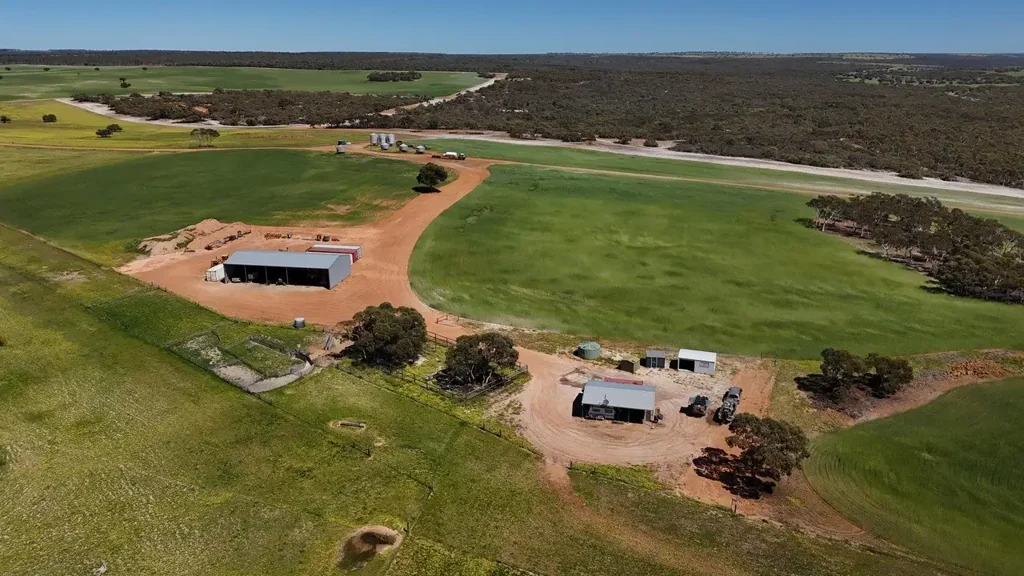 Boothendarra  "Quinliven"