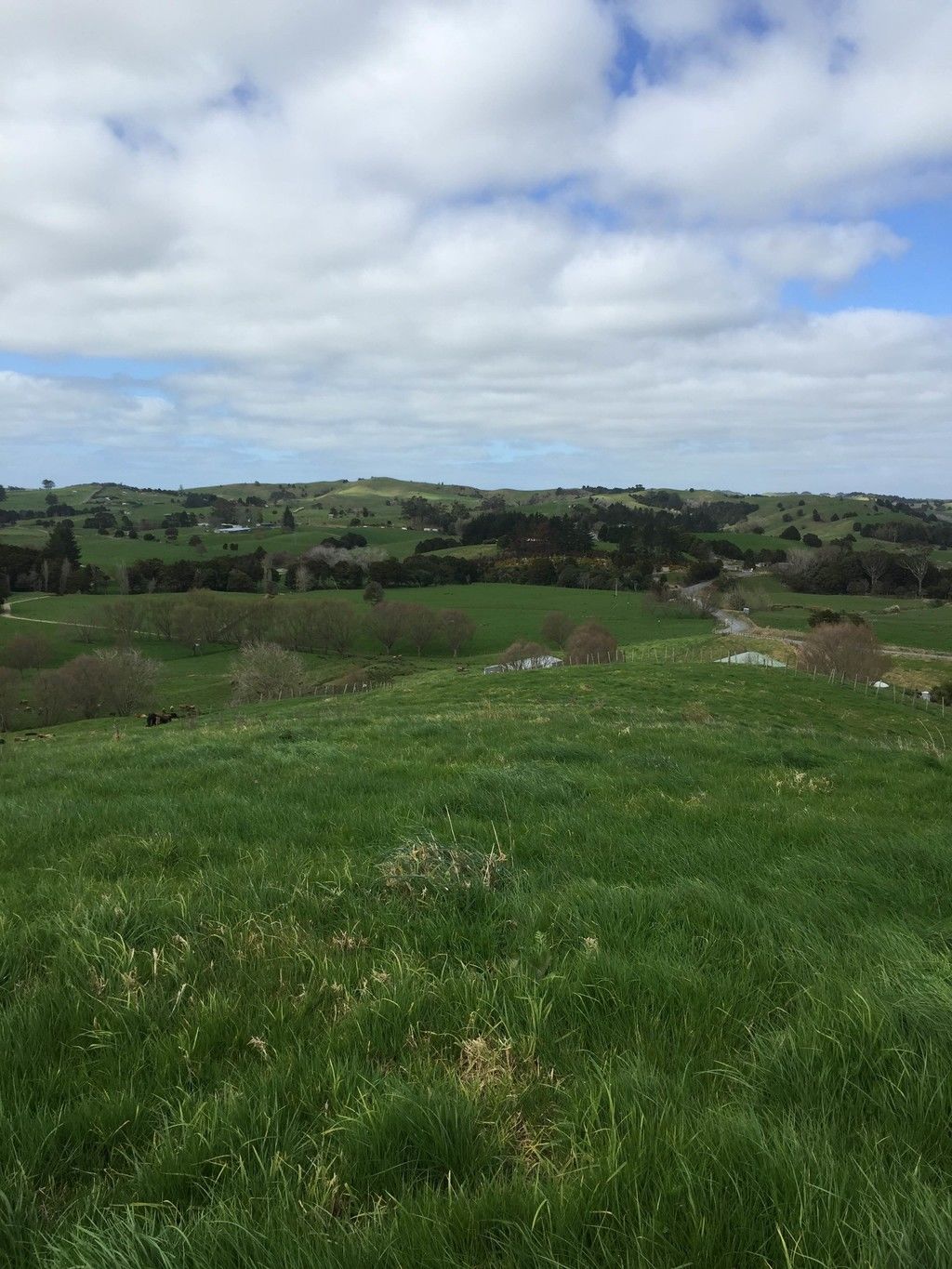 Hayward Road, Maungakaramea, Whangarei, 0 phòng ngủ, 0 phòng tắm