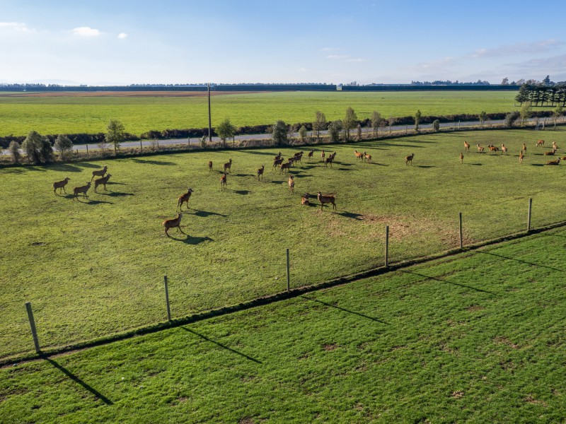 322 Hatfield Overdale Road, Rakaia, Ashburton, 5 Schlafzimmer, 0 Badezimmer