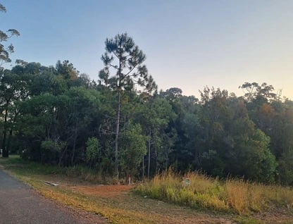 19 Piccaninny St, Macleay Island, QLD 4184, 0 ਕਮਰੇ, 0 ਬਾਥਰੂਮ, Section