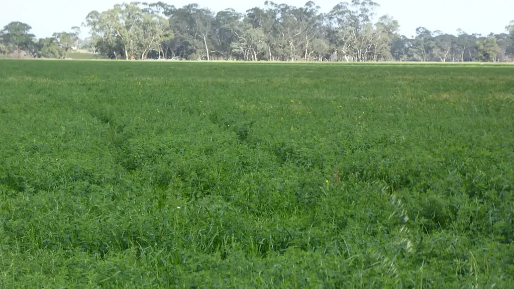 Frances Versitile Mixed Farming, Irrigation Frances District