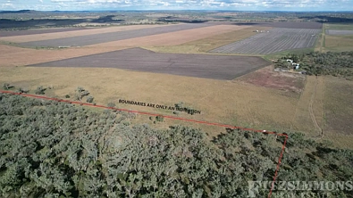 Address Withheld, Dalby, QLD 4405, 0 Kuwarto, 0 Banyo, Lifestyle Property