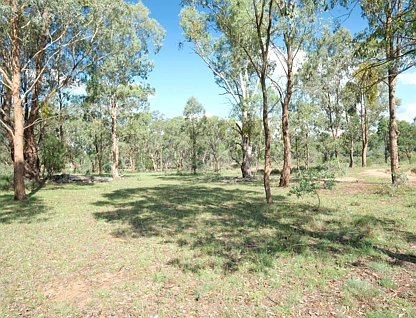 1380 Elsmore Road (Elsmore), Inverell, Tamworth, 0 ਕਮਰੇ, 0 ਬਾਥਰੂਮ, Lifestyle Property