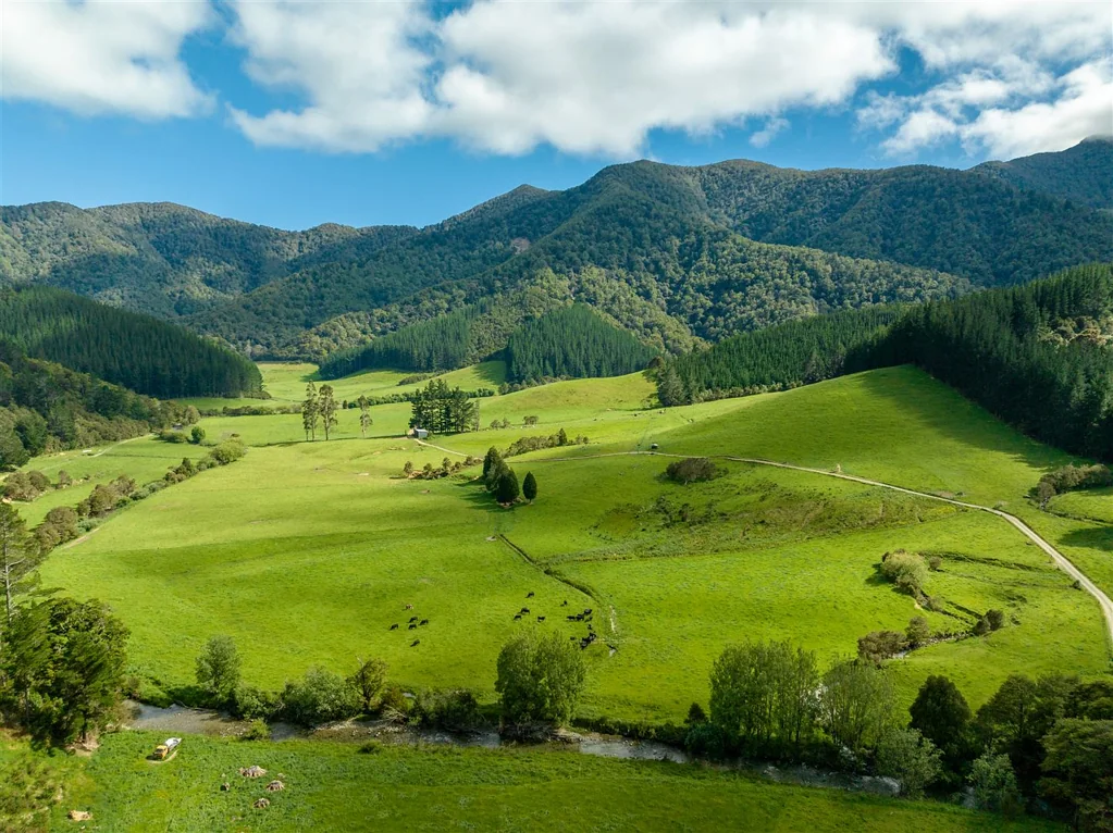 Rai Valley Prime ex-dairy farm with character and diversity.