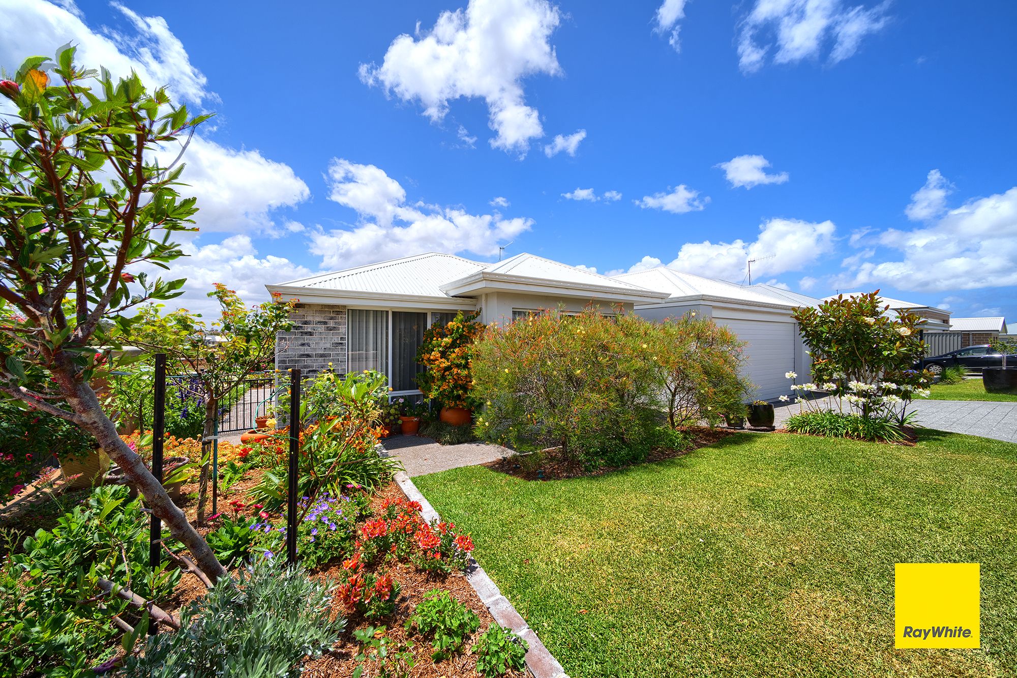 6 BALLINDEAN AV, BAYONET HEAD WA 6330, 0房, 0浴, House