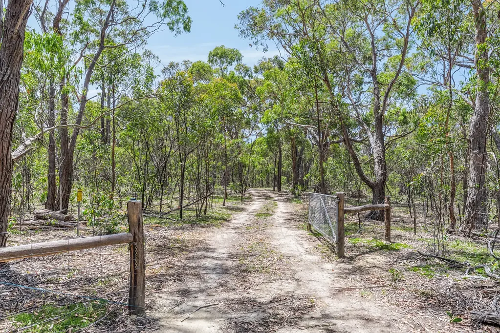 Morrisons 50 Acres in Secluded Location