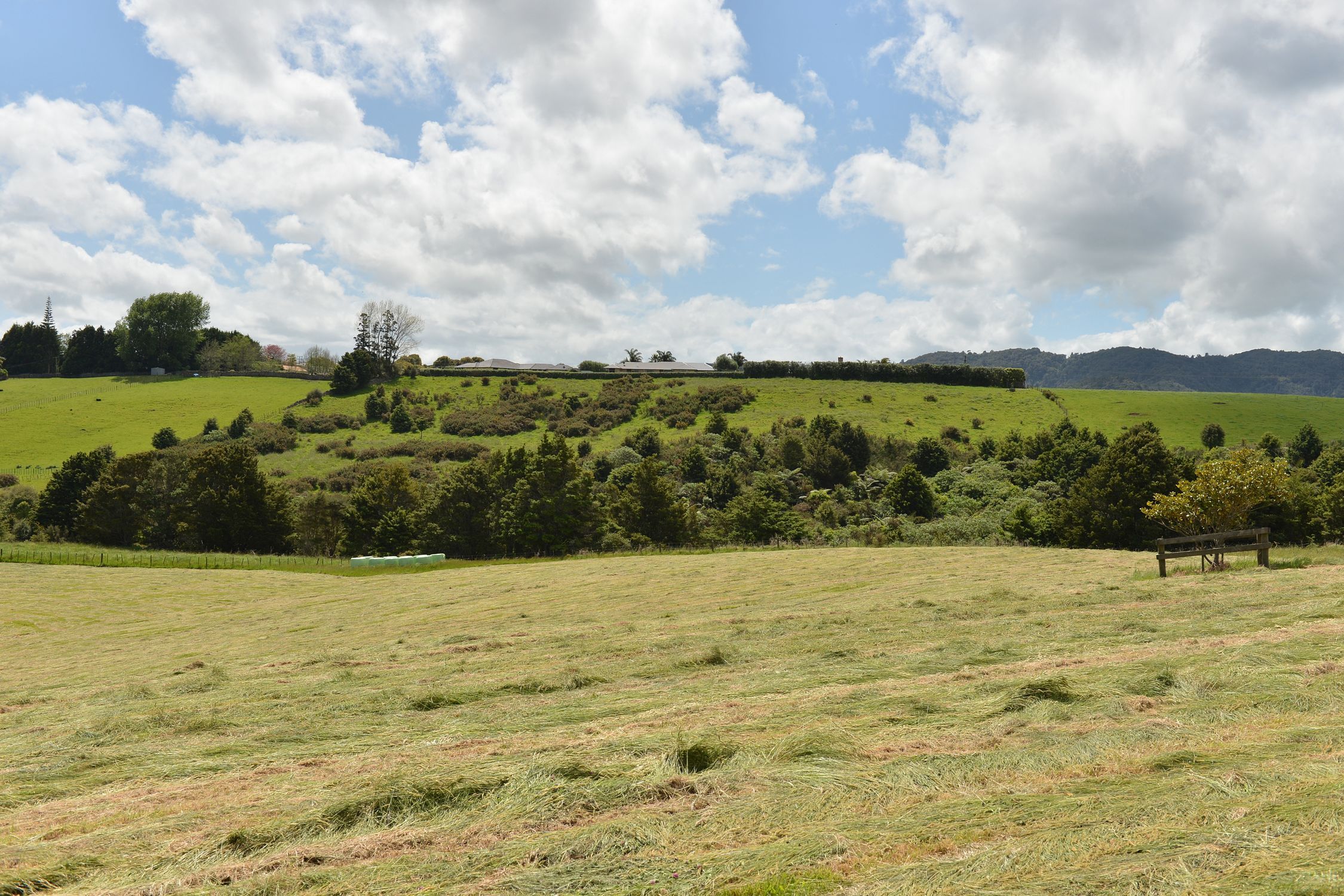 20 Purakau Road, Maunu, Whangarei, 5 ਕਮਰੇ, 0 ਬਾਥਰੂਮ