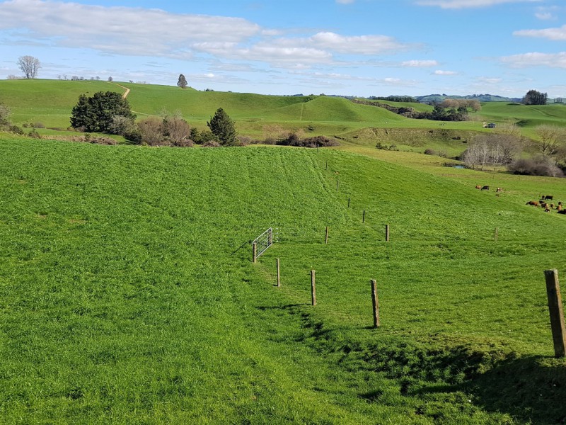 254 Somerville Road, Tapapa, South Waikato, 0 phòng ngủ, 0 phòng tắm