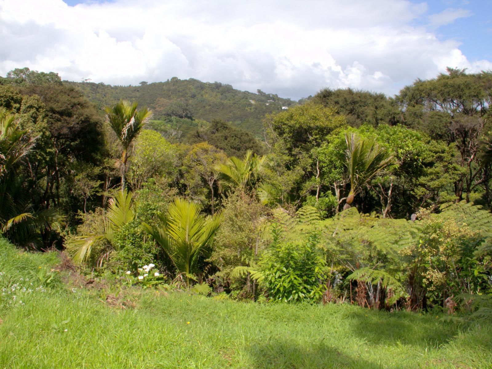 Hauraki Gulf Islands