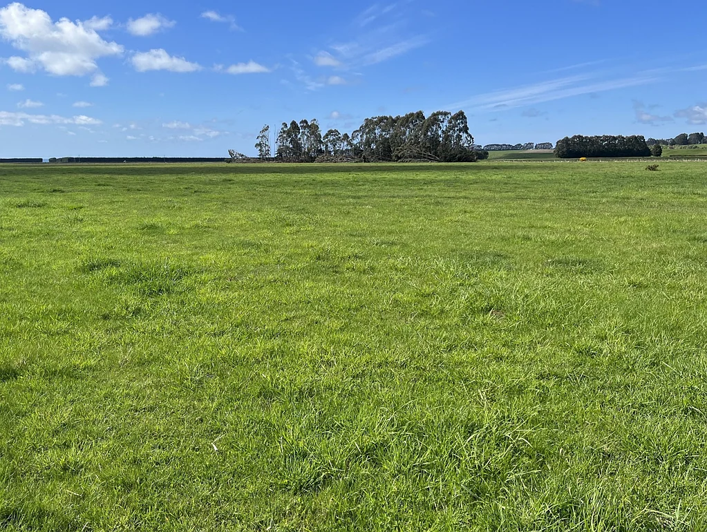 Waianakarua  Bare Land - 112.3ha