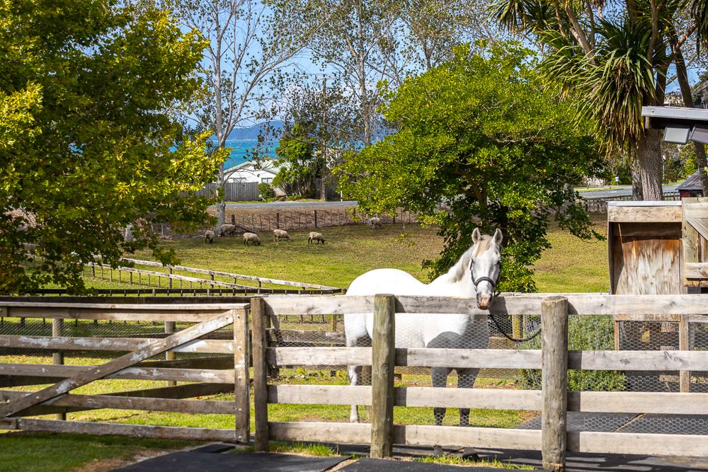 124 Mahurangi East Road, Snells Beach, Auckland - Rodney, 4 Kuwarto, 2 Banyo