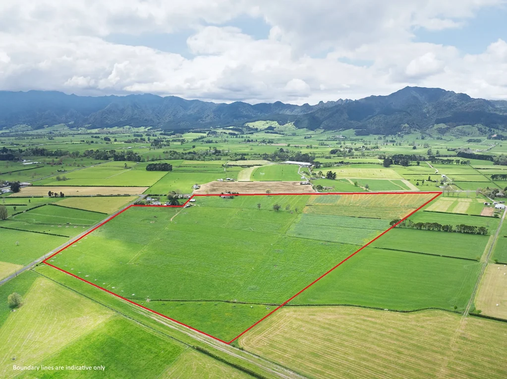 Te Aroha Top grazing unit