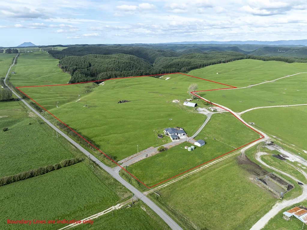 Rerewhakaaitu 3غرفة نوم 17 Hectare Opportunity Near Lake Rerewhakaaitu