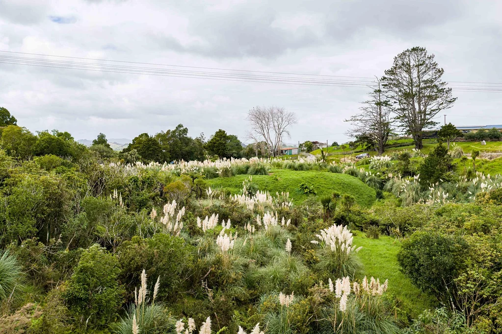 Paparoa Your Dream Lifestyle with Stunning Kaipara Views
