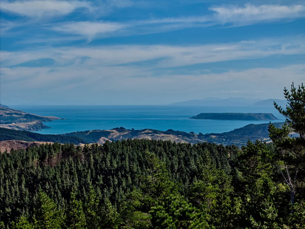 Pauatahanui PREMIER RURAL LIVING – DIGGINS TRACK SUBDIVISION