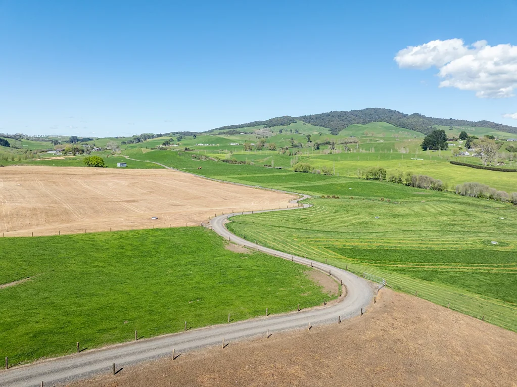 Matamata Grow your heifers, grow your business