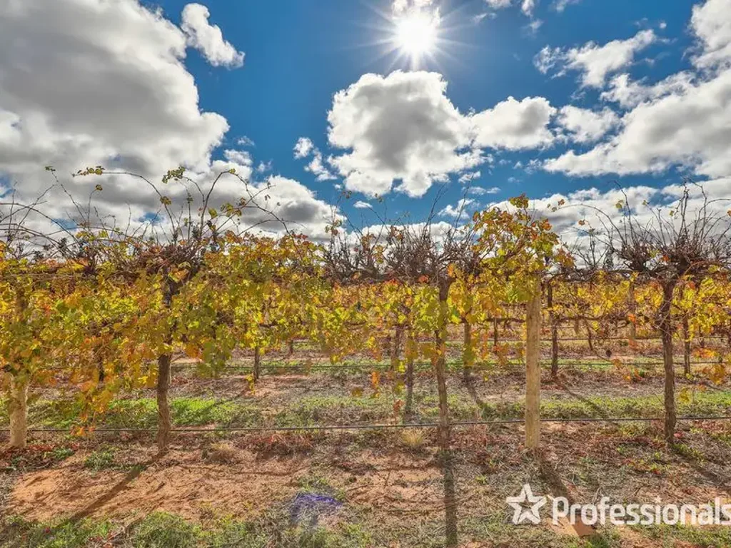 Red Cliffs Boutique winery & cellar door,  plus development potential!