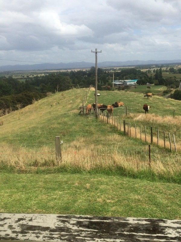 71 Jackson Road, Karangahake, Hauraki, 0房, 0浴