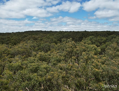 "Myamyn West" Myamyn Road, Hotspur, Portland and Glenelg Shire, 0 રૂમ, 0 બાથરૂમ, Lifestyle Property
