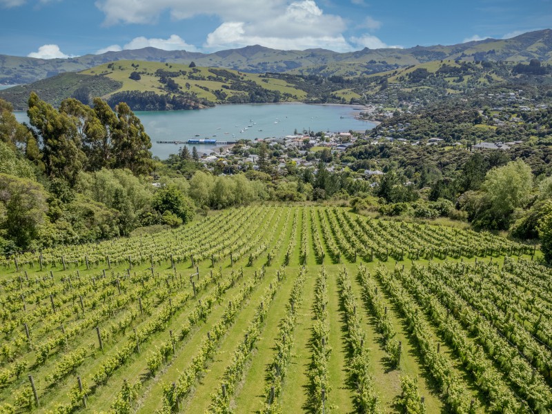 Rural Banks Peninsula